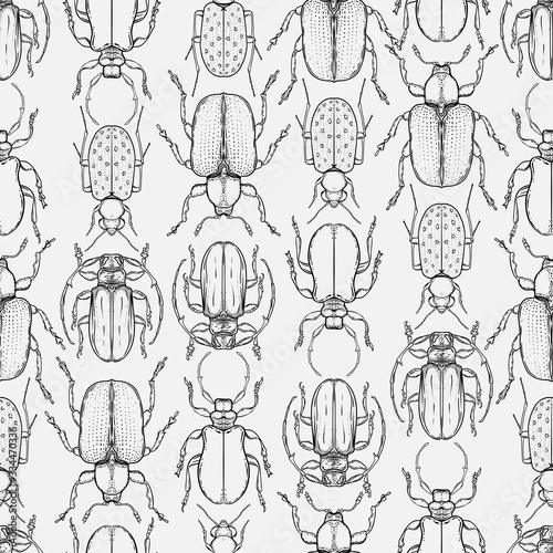 Hand drawn bugs in vintage style. Seamless pattern. Beetles vector illustrati...