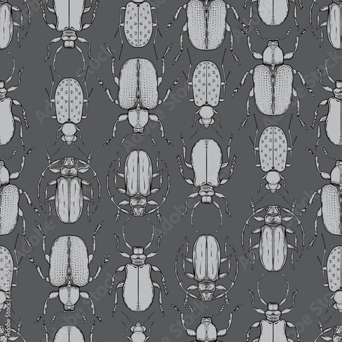 Hand drawn bugs in vintage style. Seamless pattern. Beetles vector illustrati...