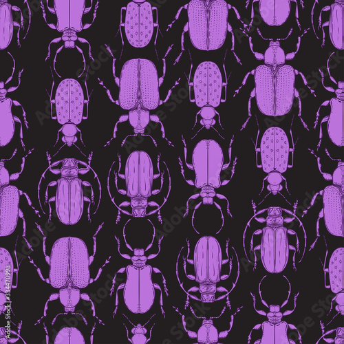Hand drawn bugs in vintage style. Seamless pattern. Beetles vector illustrati...