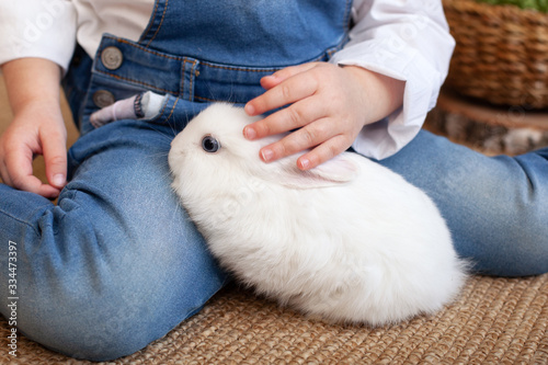Little girl holding cute fluffy rabbit, closeup. Adorable fluffy white bunny in hands child. Cute pet rabbit being cuddled by his owner. Friendship. Concept of love for animals. Healthcare. Easter	
