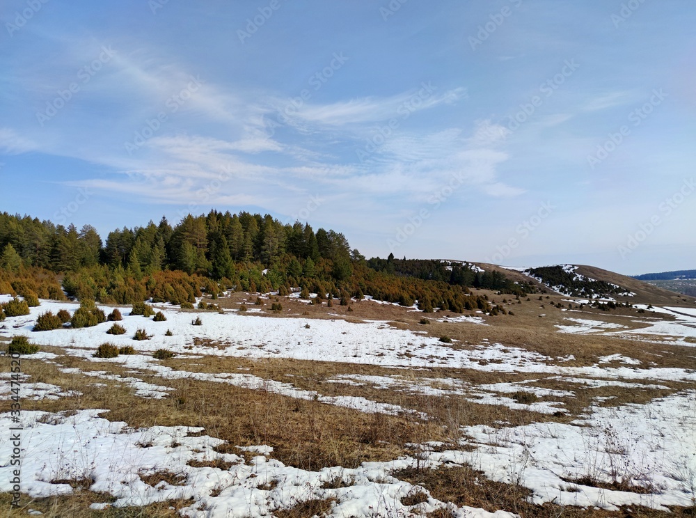 a field with remnants of melting snow against the background of a forest and a blue sky with clouds in the spring landscape