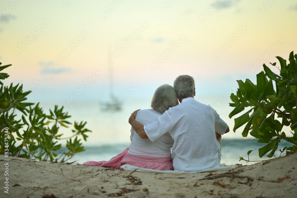Fototapeta premium Happy elderly couple resting on tropical beach