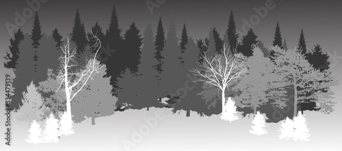 white and grey forest silhouette on dark background
