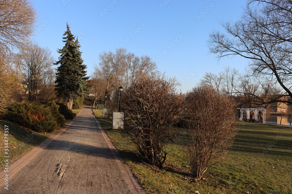 walking in park during coronavirus pandemi walking in park during coronavirus pandemi