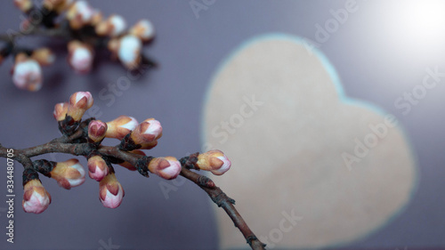 Beautiful spring flowers with heart on a blue background. Banner.