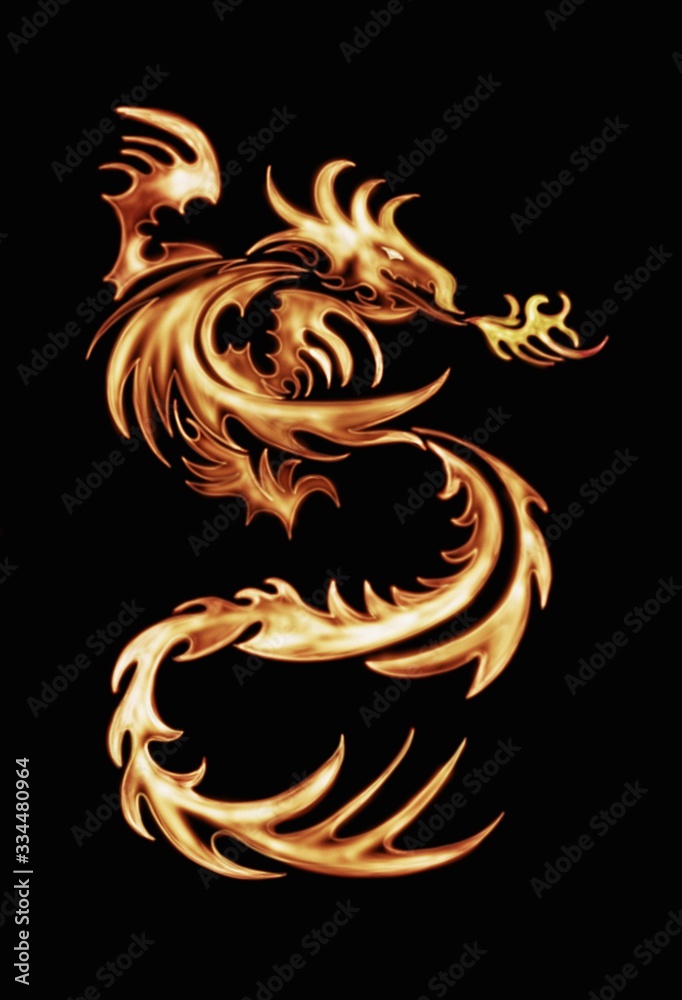 Obraz premium dragon 