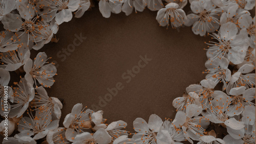 Tender spring flowers on a retro brown background. 