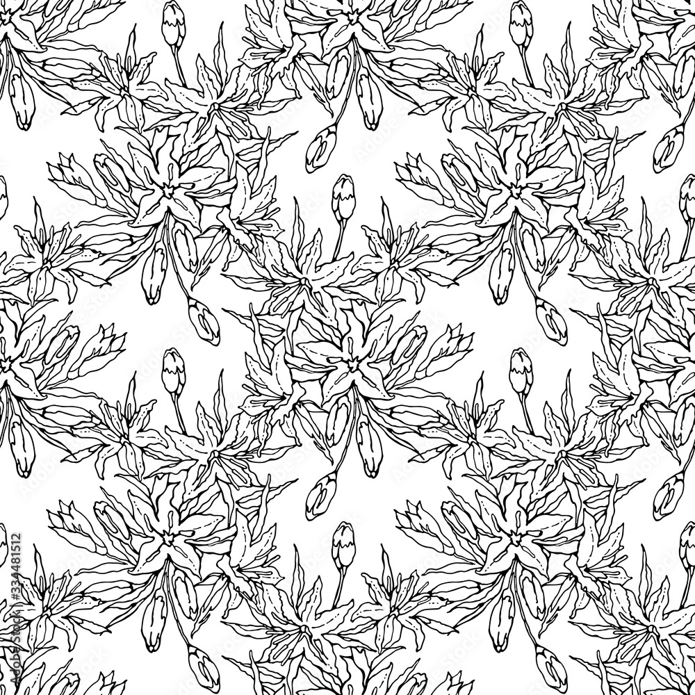 Seamless pattern of a bouquet of Oriental Lily. Hand-drawn black and white collection of festive decor and greeting cards. Vector illustration.