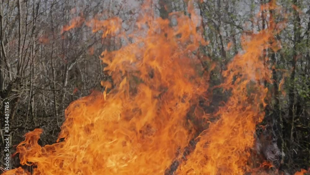 Big wildfire at day. Big wildfire at day. Orange flames and smoke of a forest fire, slow-motion shot Big wildfire at day. Big wildfire at day. Orange flames and smoke of a forest fire, slow-motion shot