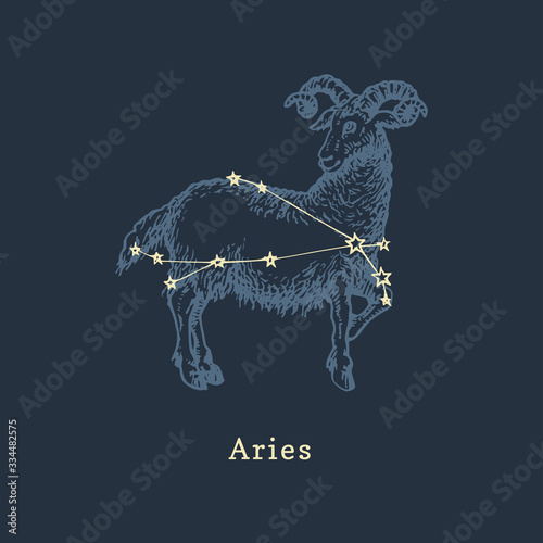 Zodiac constellation of Aries in engraving style. Vector retro graphic illustration of astrological sign Ram.