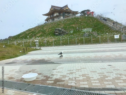 Kabushima Shrine photo