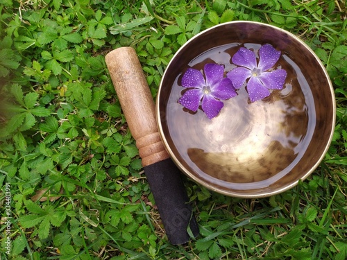 Tibetan Bowl on Green Grass