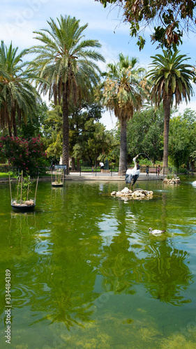 Public park of Valencia city  Spain
