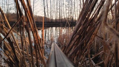 Spring duck hunting, a hunting rifle aims from the reeds towards the river