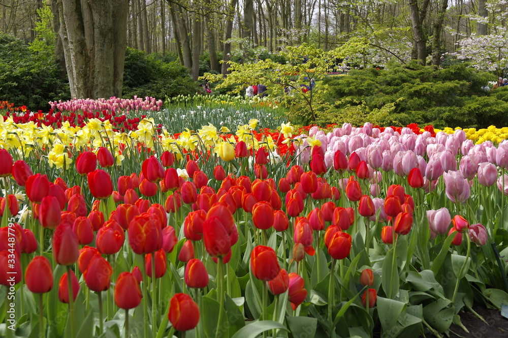 vacanza in Olanda Amsterdam e parco dei tulipani Keukenhof vacanza in Olanda Amsterdam e parco dei tulipani Keukenhof