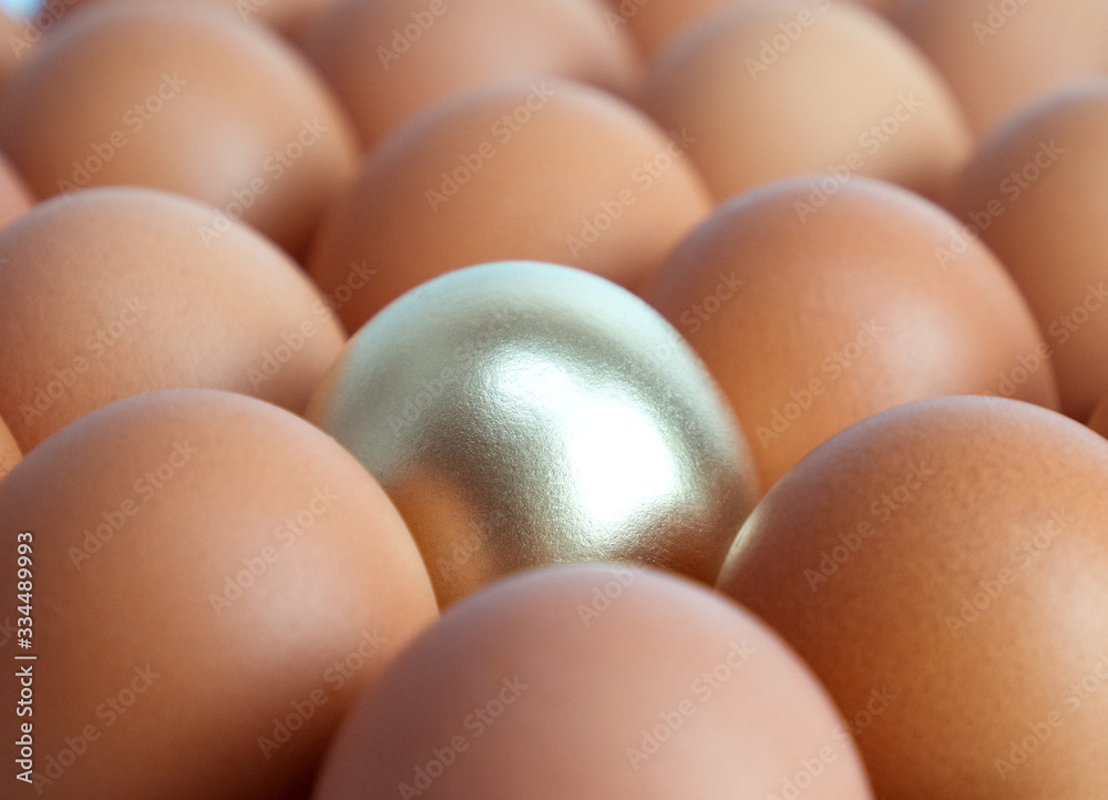 Golden chicken egg: outstanding and different Golden chicken egg: outstanding and different