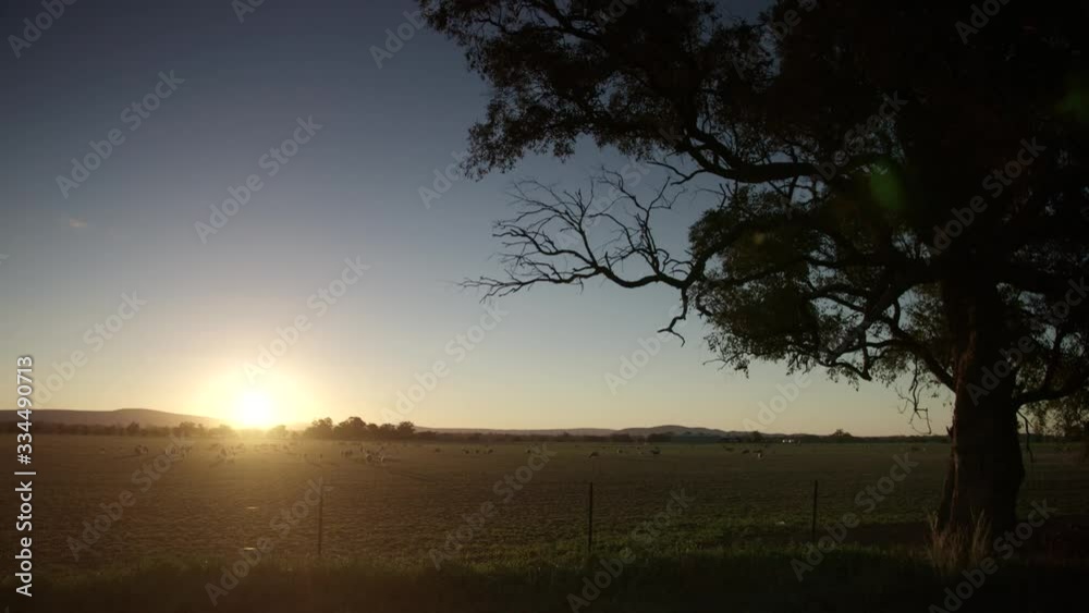 Wide shot of sunset over a drought ravaged australian sheep farm