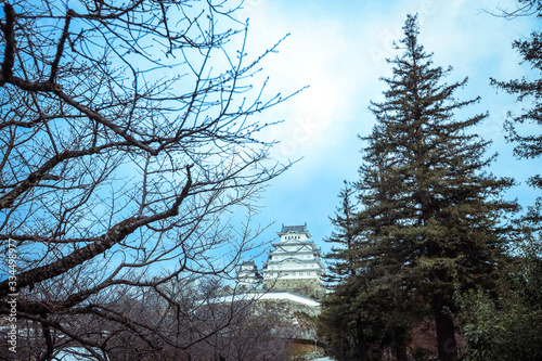 Far View to the Himeji Castle via trees, Japan