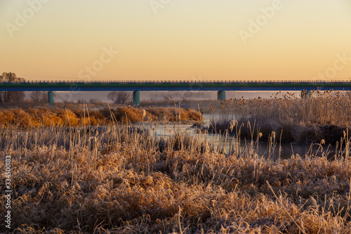 Poranek w Narwia  skim Parku Narodowym. Rzeka Narew. Polska Amazonia. Podlasie. Polska