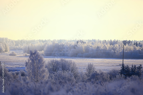 Wallpaper Mural winter landscape in the forest / snowy weather in January, beautiful landscape in the snowy forest, a trip to the north Torontodigital.ca