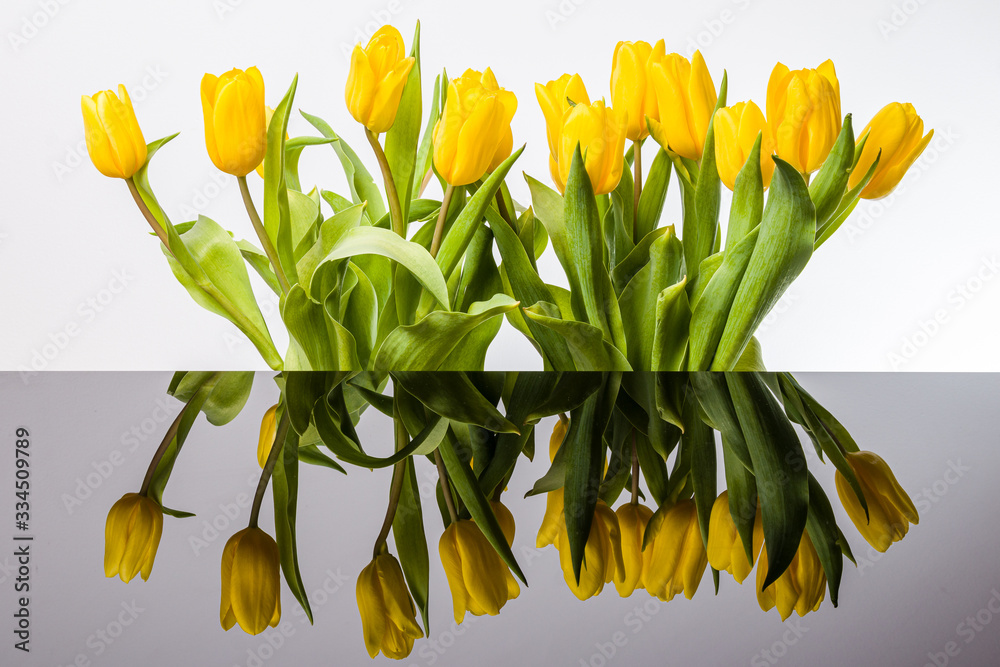 Żółte tulipany i lustrzane odbicie w kałuży.  Rozlana woda i odbicie kwiatów. - obrazy, fototapety, plakaty 