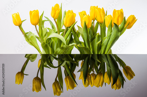Żółte tulipany i lustrzane odbicie w kałuży.  Rozlana woda i odbicie kwiatów.
