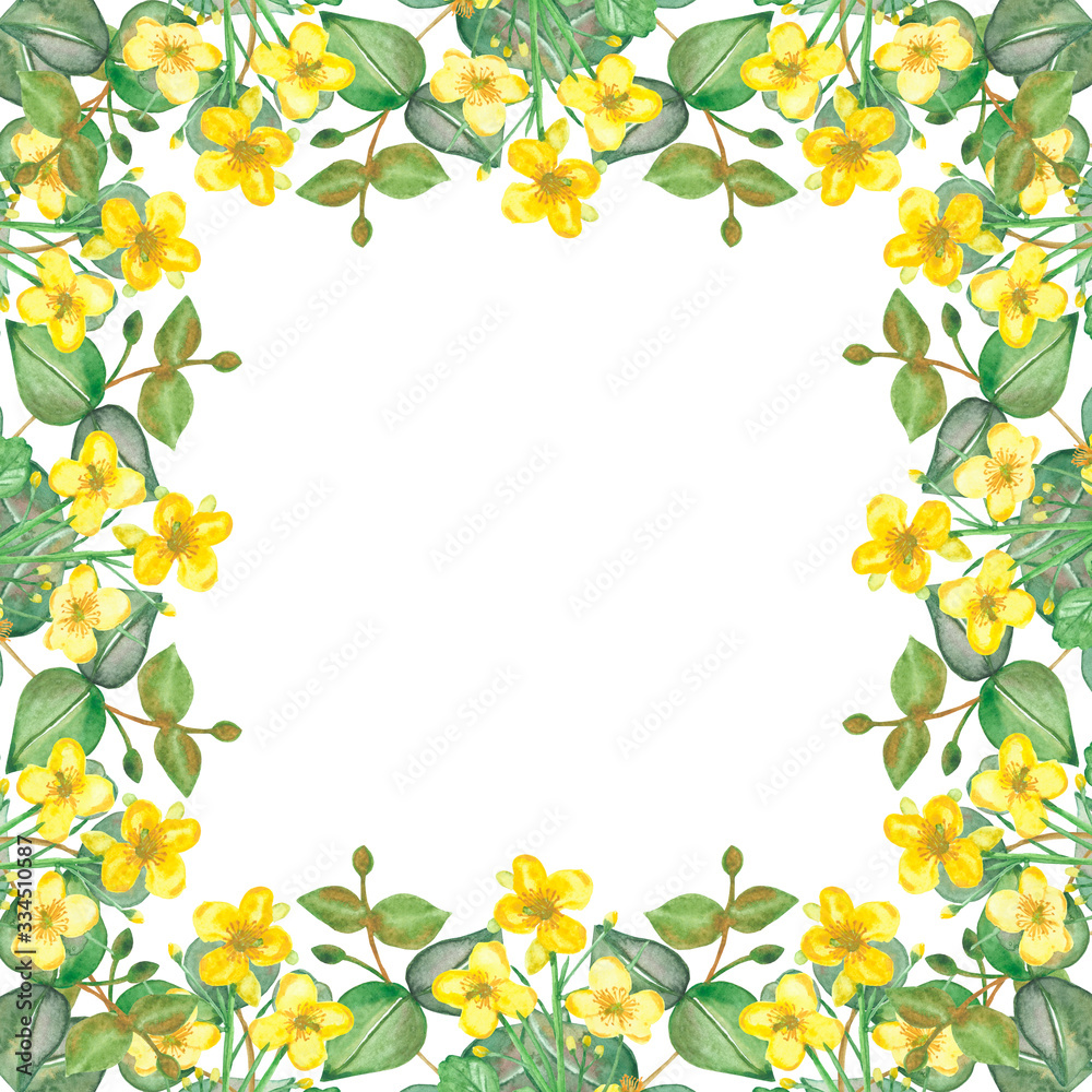 Watercolor hand painted nature squared border frame with yellow celandine flowers and green eucalyptus leaves on branches on the white background for invite and greeting card