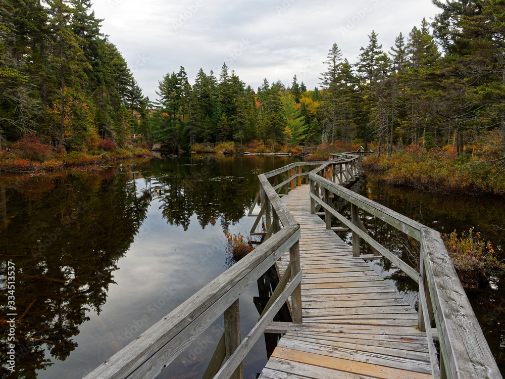 Wooden footbridge on a lake in autumn