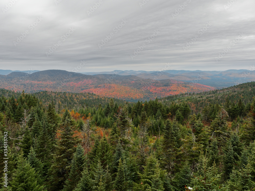 Colorful trees during autumn in the Laurentides, Quebec Colorful trees during autumn in the Laurentides, Quebec