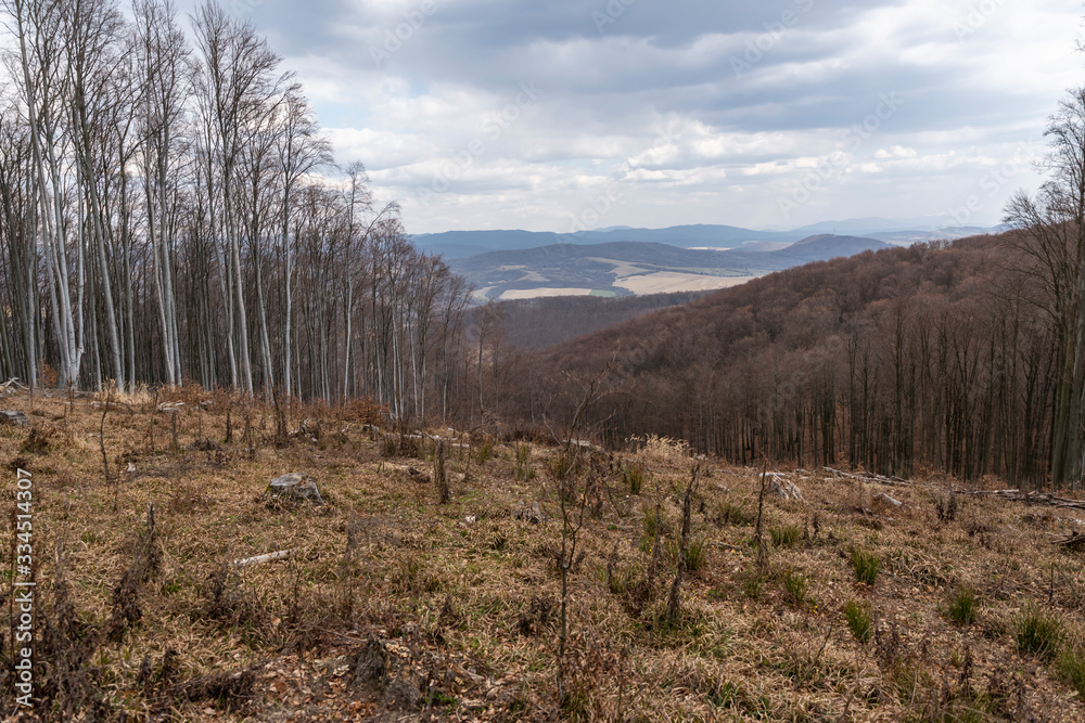 Dramatic view on the forest clear cut from the top into the valley Dramatic view on the forest clear cut from the top into the valley