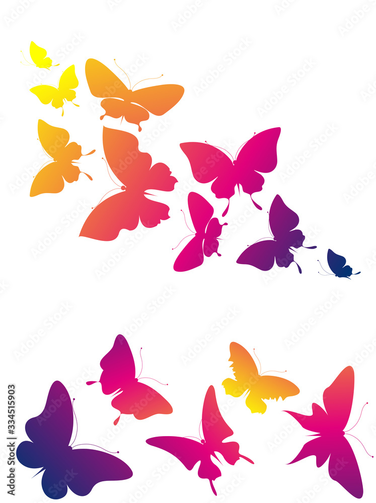 butterfly500 butterfly500
