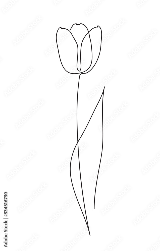 Beautiful tulip flower. Line art concept design. Continuous line drawing. Stylized flower symbol. Vector illustration. Beautiful tulip flower. Line art concept design. Continuous line drawing. Stylized flower symbol. Vector illustration.