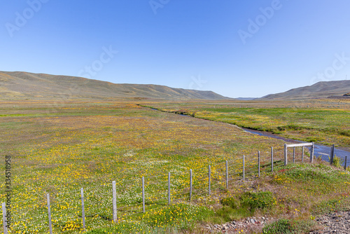 Bellavista stuary, with flowery field at spring season - Magallanes and Chilean Antarctica Region