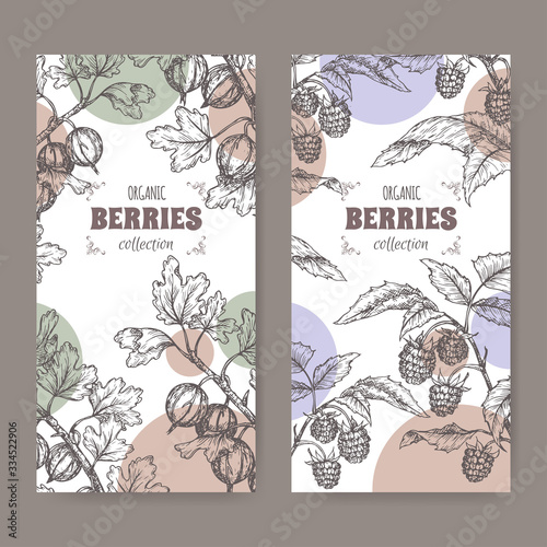 Set of two lables with Red raspberry aka Rubus idaeus and Gooseberry aka Ribes uva-crispa sketch. Berry fruits series.
