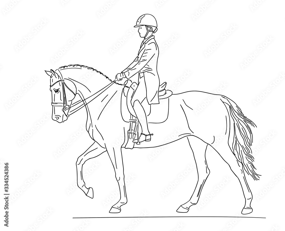 Dressage horse in the test, collected walk