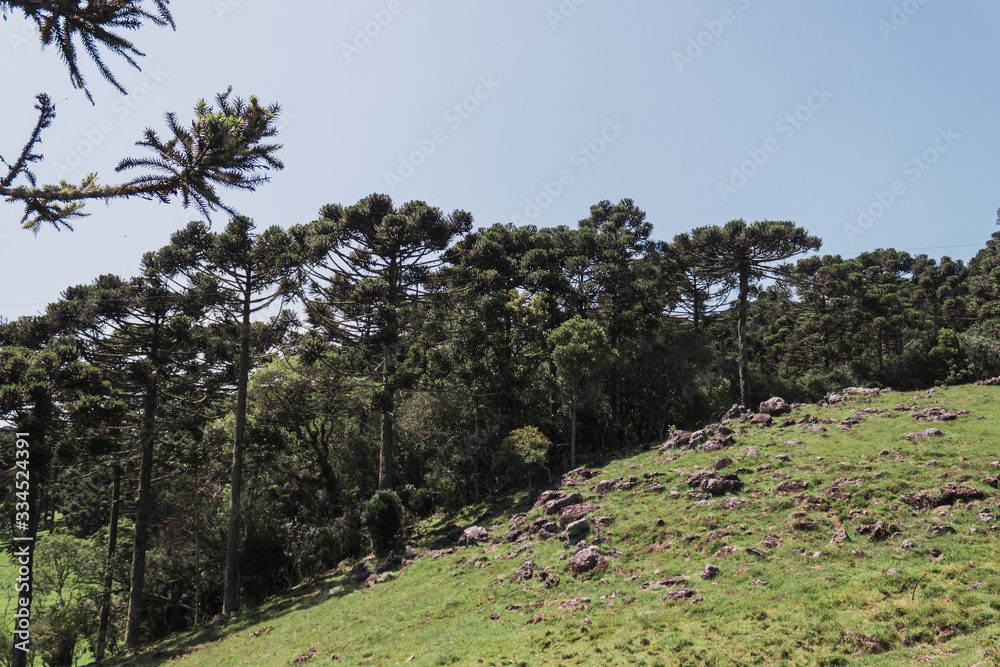 Região Serrana Brasil Montanhas Natureza Landscape Brazil Nature Região Serrana Brasil Montanhas Natureza Landscape Brazil Nature