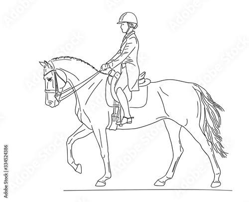 Fototapeta Naklejka Na Ścianę i Meble -  Dressage horse in the test, collected walk