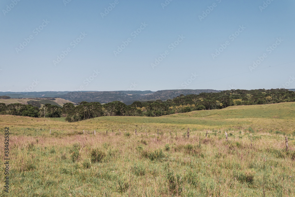 Brazilian Nature Landscapes River Farm Animals Brazilian Nature Landscapes River Farm Animals