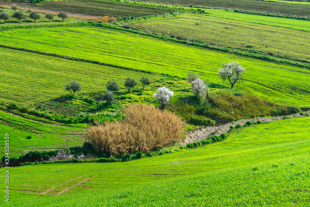 spring landscapes in Sicily, Italy