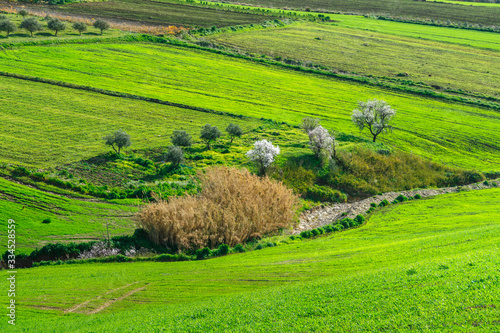 Obraz na płótnie spring landscapes in Sicily, Italy w salonie