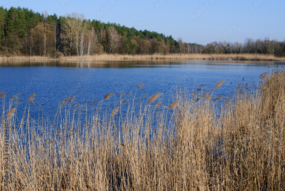 Spring morning on the lake, calm expanse of water and the shore with trees, balance and peace. Spring morning on the lake, calm expanse of water and the shore with trees, balance and peace.