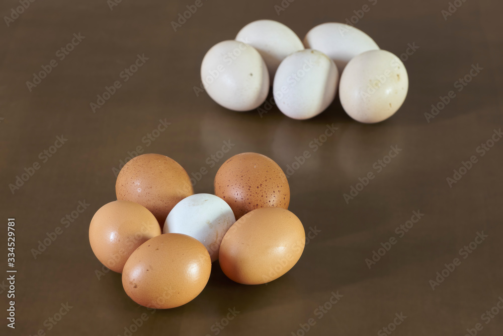 White surrounded eggs. Egg groups White surrounded eggs. Egg groups