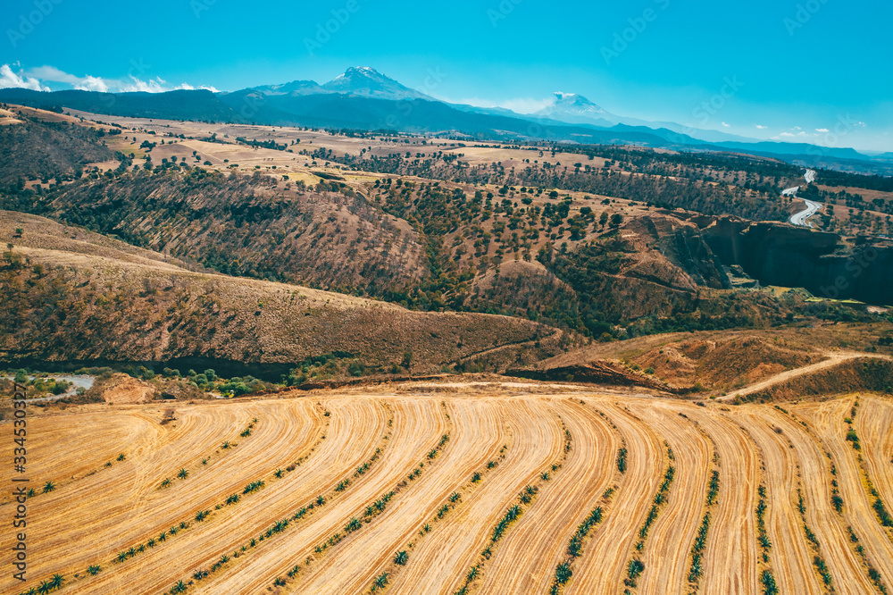 Aerial view of an agave plantation and two volcanoes