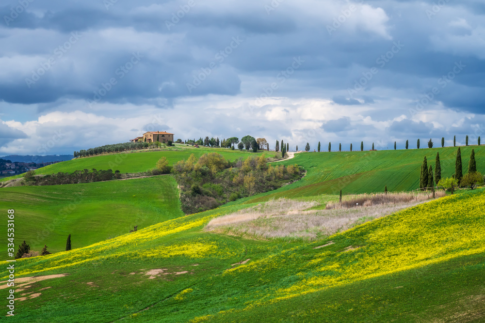 Amazing spring landscape with green rolling hills and farm houses in the heart of Tuscany in morning