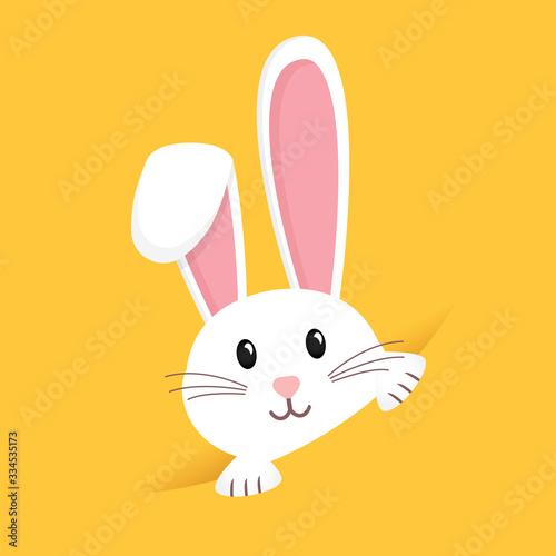 Easter rabbit, easter Bunny. Vector illustration.