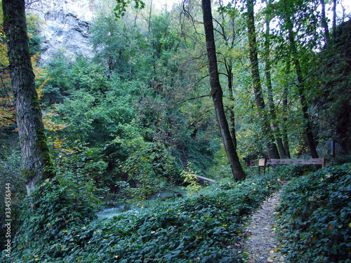 The canyon of the Pazincica river before the abyss and the Pazin cave - Pazin, Croatia (Kanjon rijeke Pazincice pred ponorom i pecinom Pazinska jama - Pazin, Hrvatska) photo