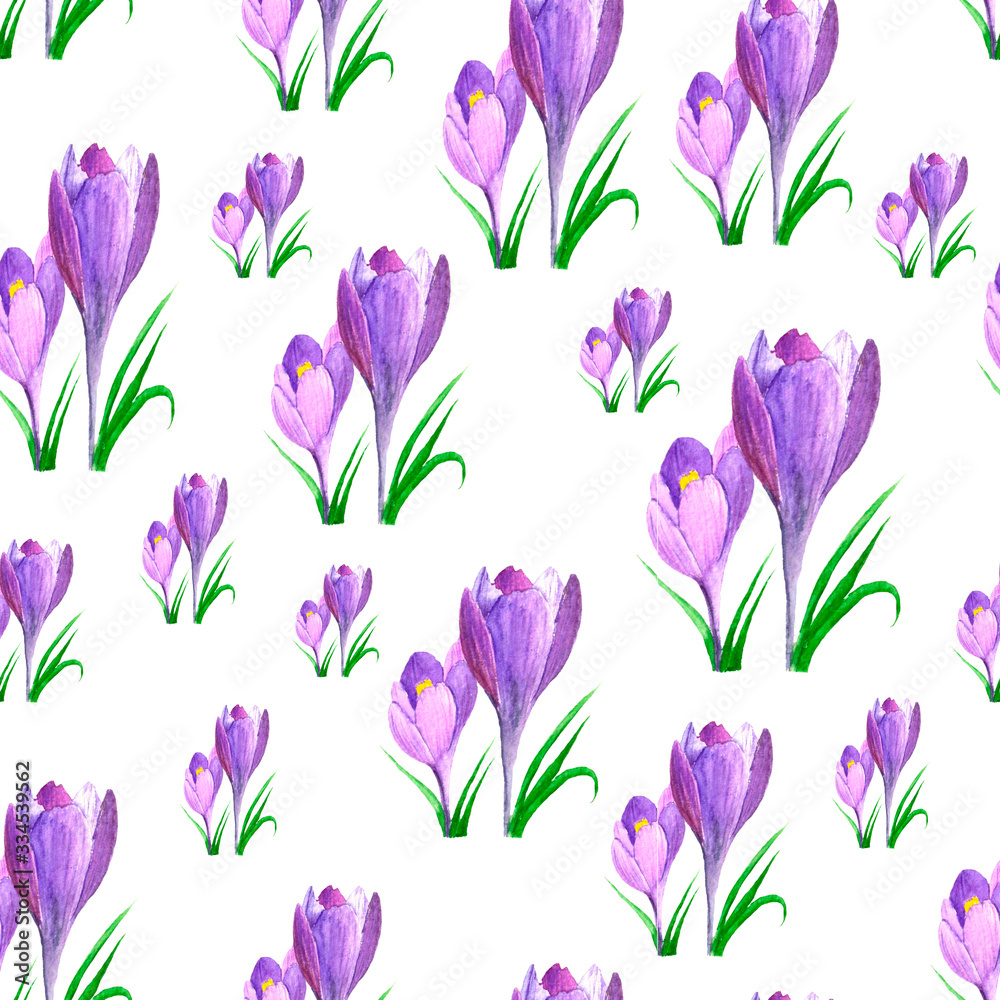 Pattern of purple crocuses on a white background. Suitable for wrapping paper for the design of the bouquets, for the decoration of garden equipment, business cards and flyers Pattern of purple crocuses on a white background. Suitable for wrapping paper for the design of the bouquets, for the decoration of garden equipment, business cards and flyers