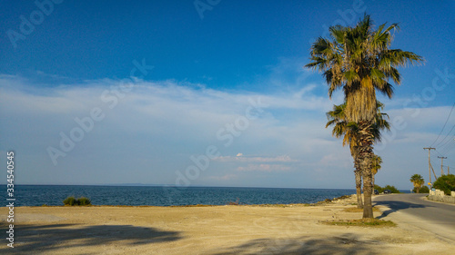 Lonely palm tree standing along the coastline with blue cloudly sky and a road. Space for copy  mediterranean sea coast scene for wallpapers and background