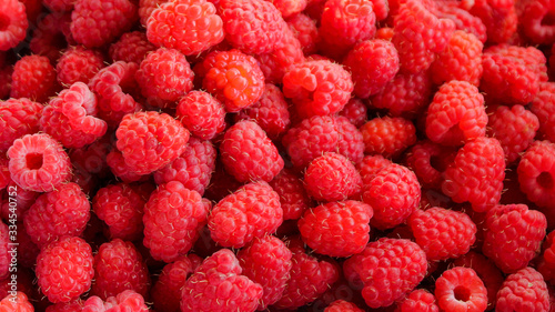 Raspberry berries close-up. juicy fresh berries in summer.
