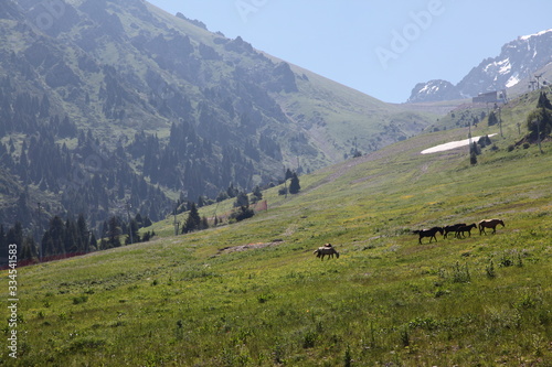 Almaty, Kazakhstan, July 8, 2019: Mountain View near Medeo